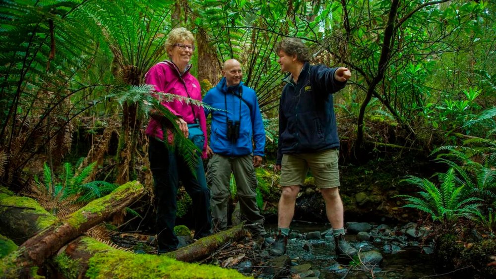 Breathe in the fresh air as you stroll along Mavista Rainforest!