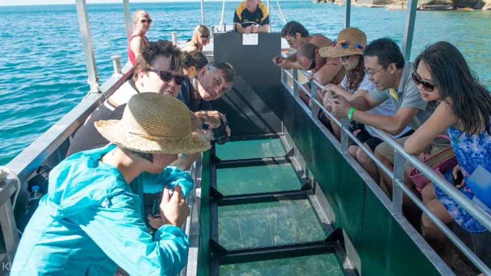 Peak at the reefs from the comfort of a glass-bottom boat