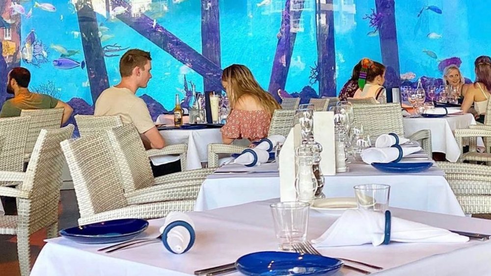 Have a three-course dinner surrounded by wildlife on the Cairns Aquarium Wildlife Tour! Image credits: @cairns_aquarium on Instagram