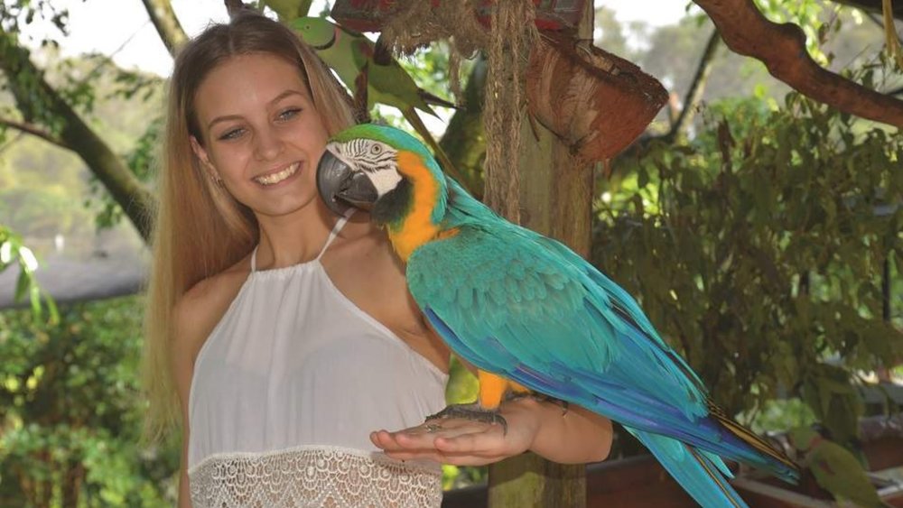 Befriend the friendly birds at Kuranda Bird World.