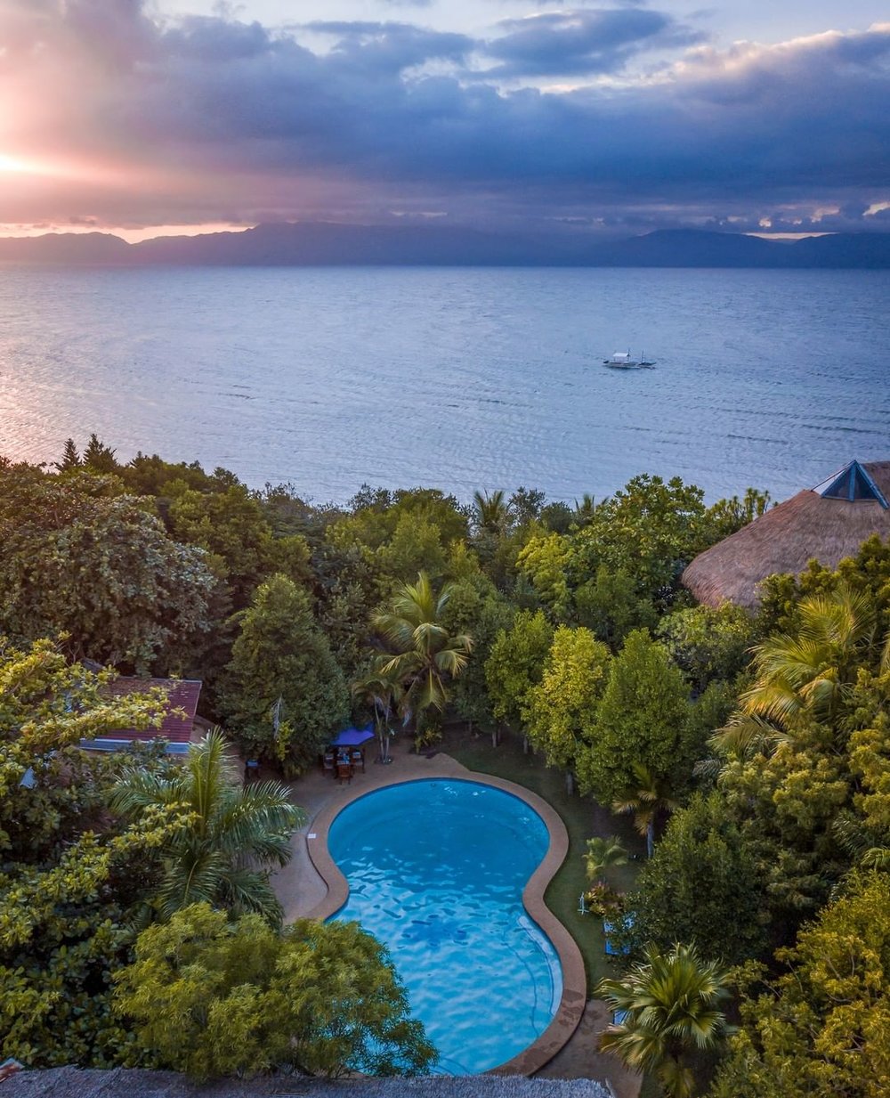 Blue Orchid overview