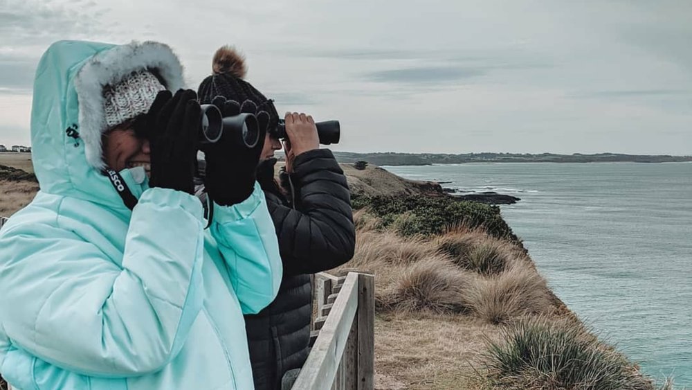 Be on the lookout for Phillip Island’s resident creatures - whales, penguins, seals, and koalas! Credits: @phillipisland