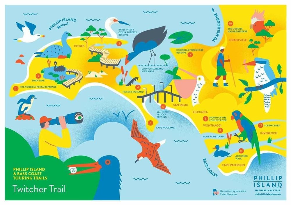 The Twitcher Trail takes you to the best birdwatching spots on the island. Image credits: @phillipisland on Instagram