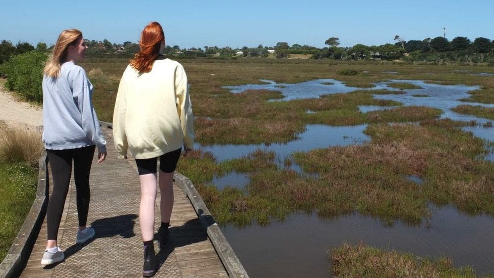 Explore the wetland wonders of Churchill Island. Credits: @churchillisland 