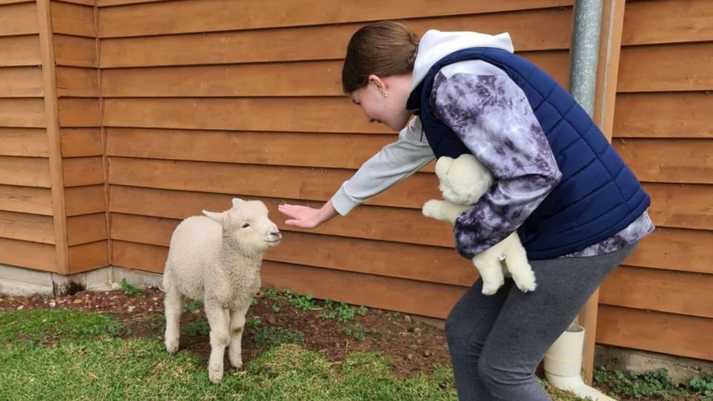 Experience the farm life at Churchill Island Heritage Farm. Credits: @paradise_of_daydreams