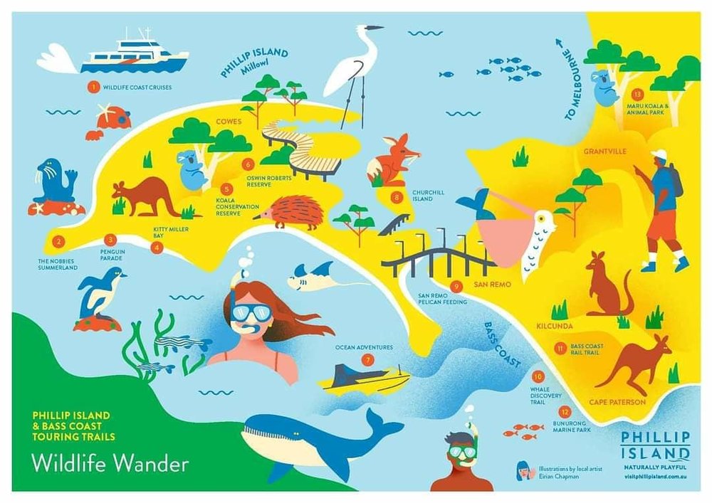 Discover the incredible wildlife of Phillip Island on this trail. Image credits: @phillipisland on Instagram