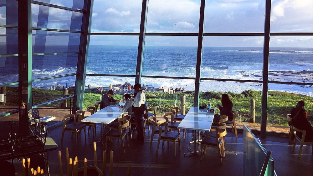 Enjoy the splendid views of the Bass Strait as you dine at The Nobbies Centre Cafe. Credits: @misslin1111 