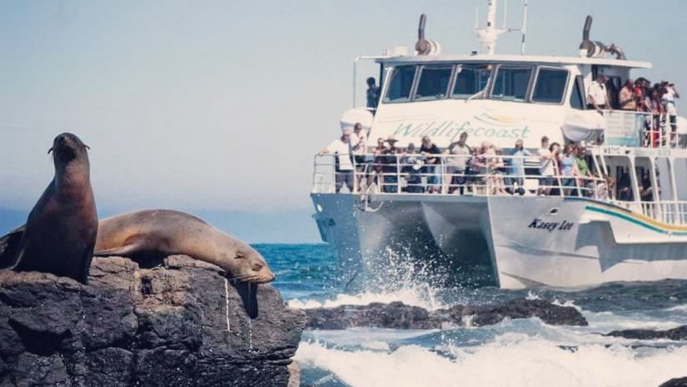 The largest fur seal colony in Australia awaits you on this seal-watching cruise. Credits: @wildlifecoastcruises
