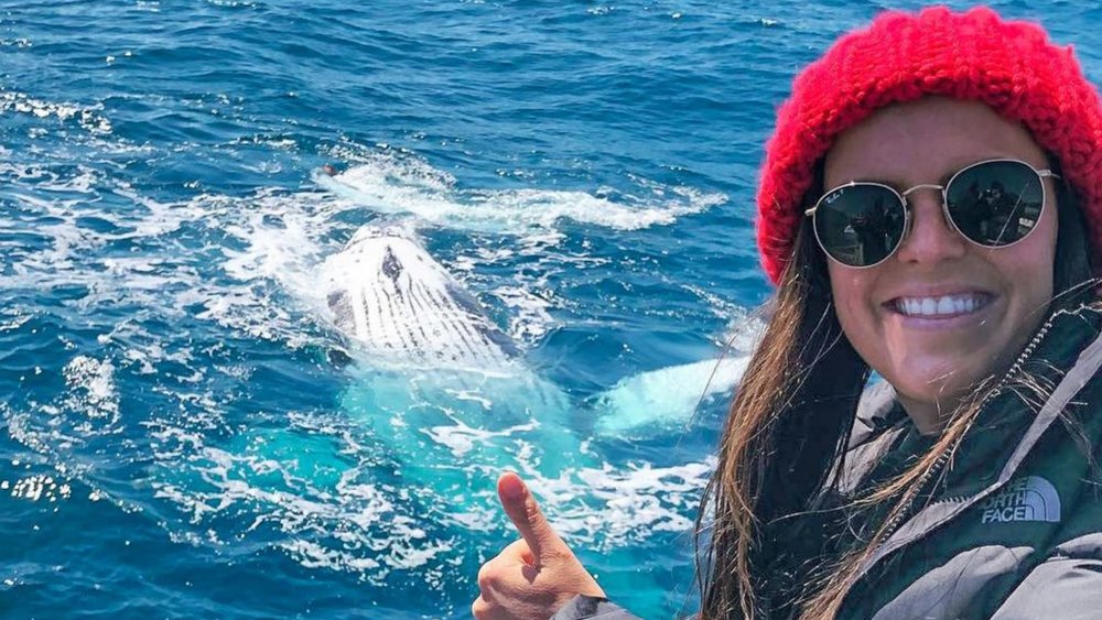 Cast your eyes upon whales and dolphins on this cruise! Credits: @wildlifecoastcruises