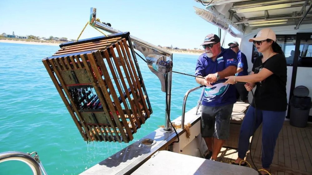 Pull up crayfish pots in this Wild Seafood Experience in Mandurah!