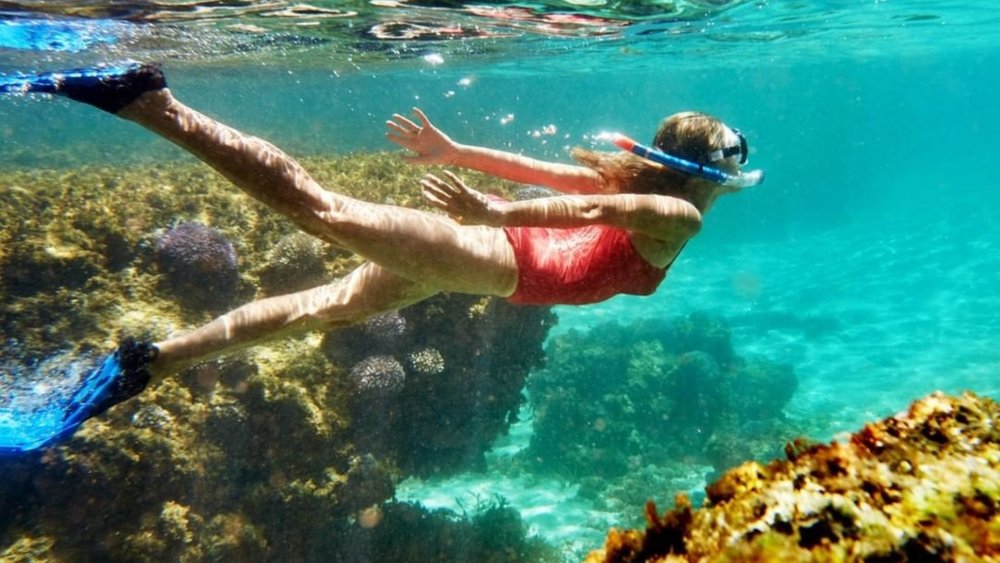 Snorkel under Rottnest Island’s waters! Credits: @discoveryrottnestisland