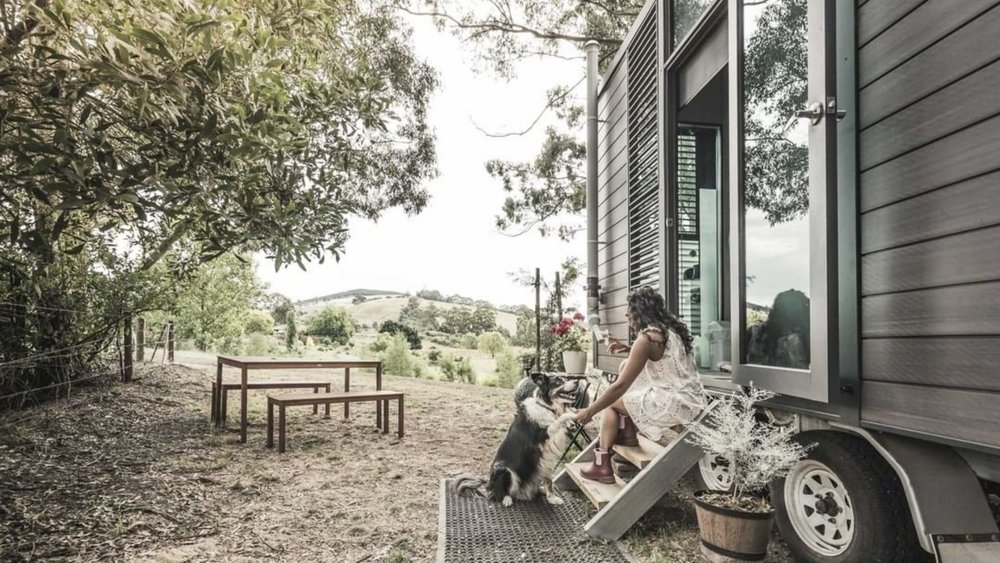 Enjoy a weekend with your adorable dog or pet with Tiny Away! Credits: @tiny.away