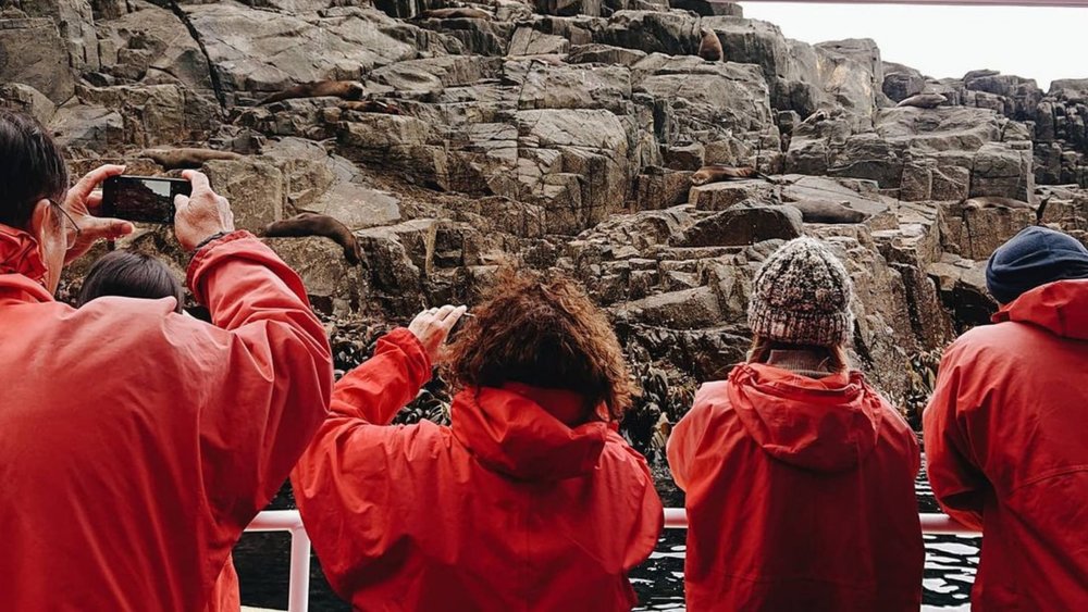 Marvel at rock formations in Tasman Island! Credits: @michael_mcc