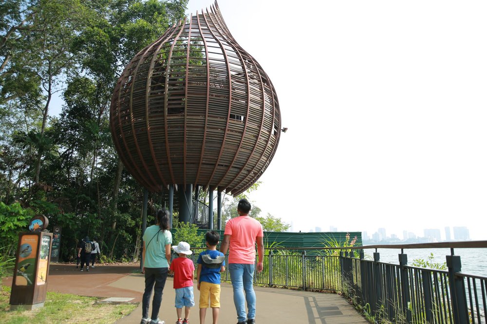 Sungei Buloh Wetland Reserve Fantail Pod