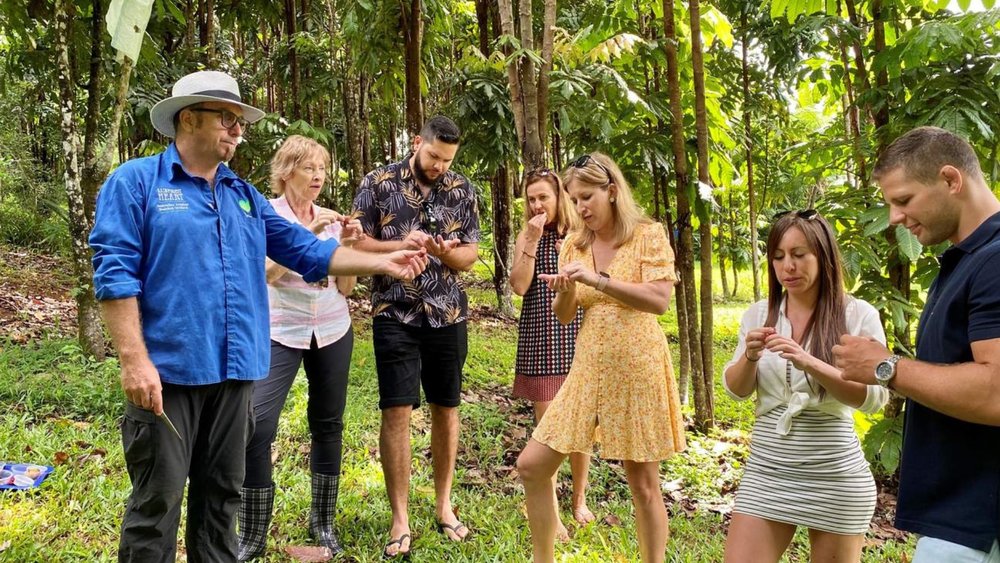 Taste the freshness of Tablelands’ finest produce on this full-day tasting tour