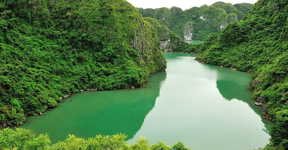 Ngày 1: Hà Nội – Hải Phòng – Đảo Cát Bà