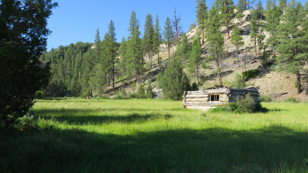 Chamberlains Ford Reserve