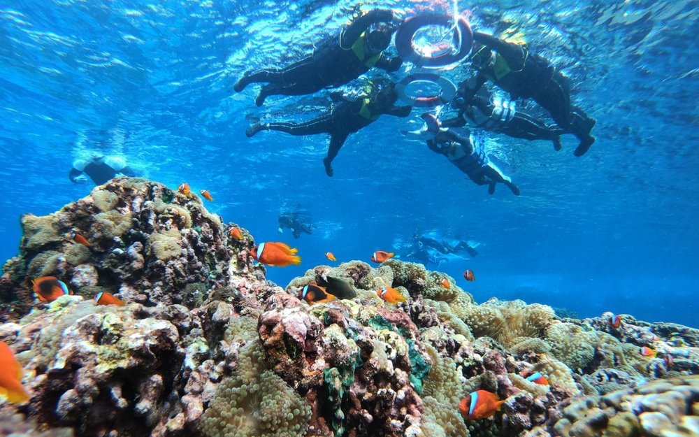 水上活動推薦：浮潛景點推薦：蘭嶼