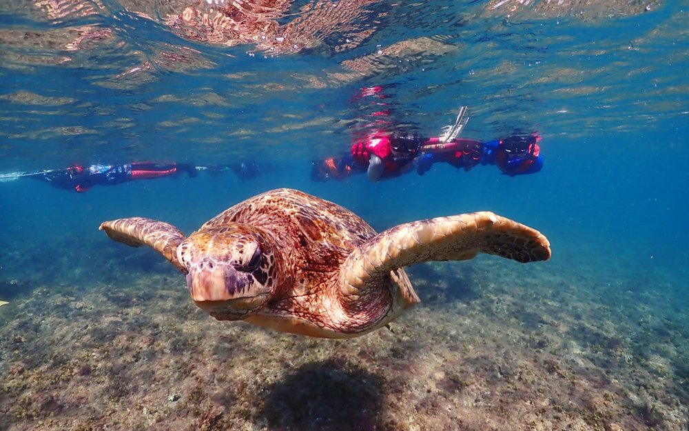 水上活動推薦：浮潛景點推薦：小琉球