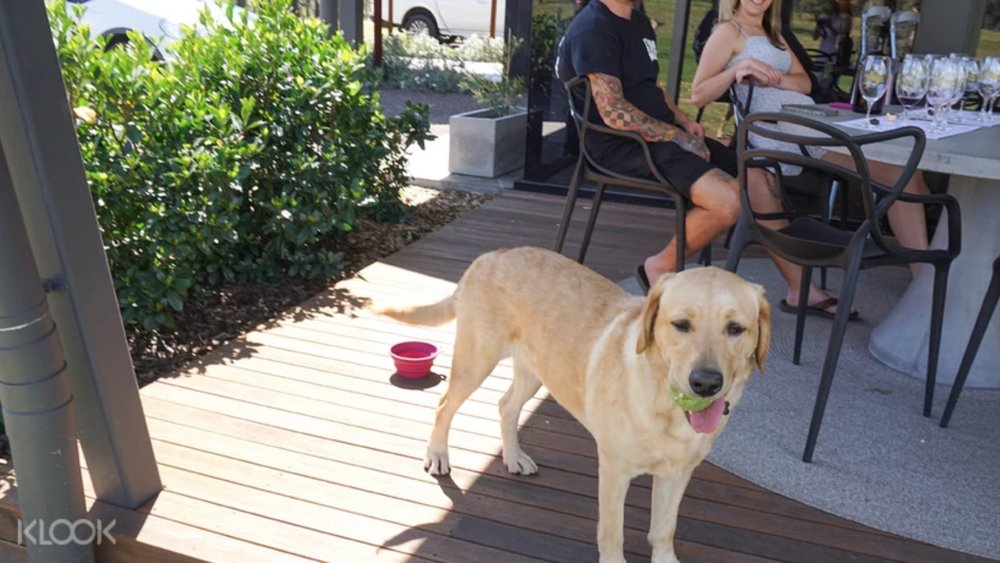 Glandore Estate Wines