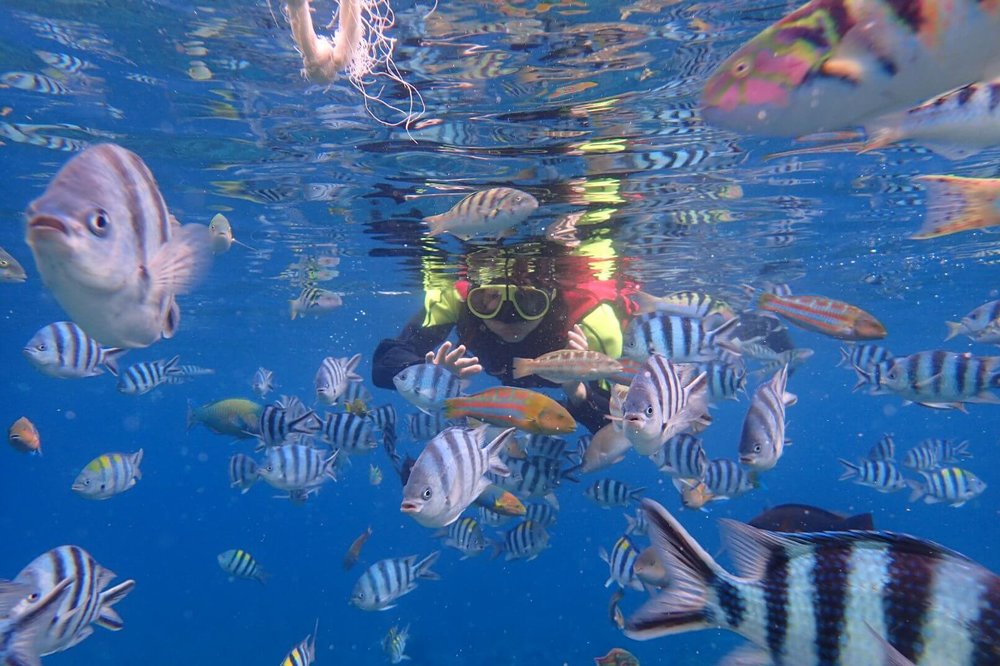 台東綠島柴口浮潛