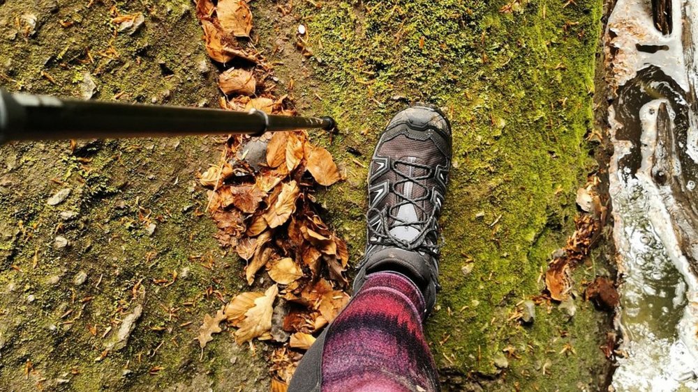 Salomon X Ultra 3 GTX. Image credits: maceywolf on Instagram