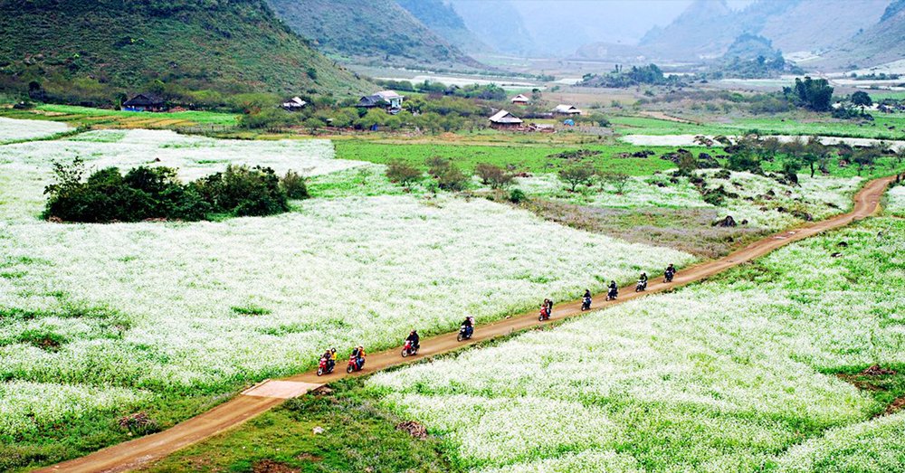Bản Thung Cuông (Thông Cuông) Mộc Châu