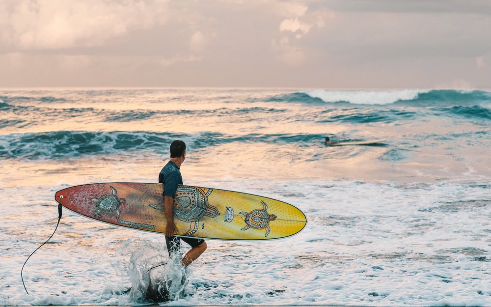 水上活動：衝浪：衝浪板