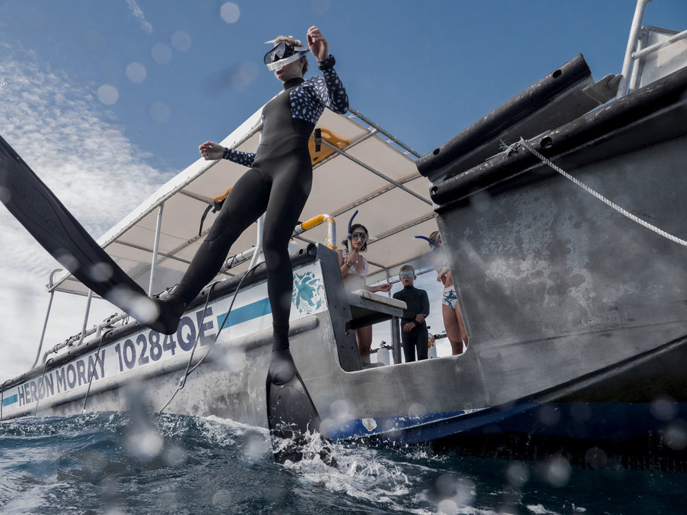 SG Great Barrier Reef Snorkelling