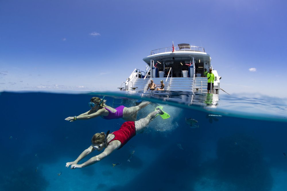 6 Amazing Great Barrier Reef Activities To Rekindle Your Love For ...