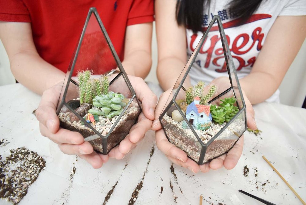 terrarium workshop crafts for green 