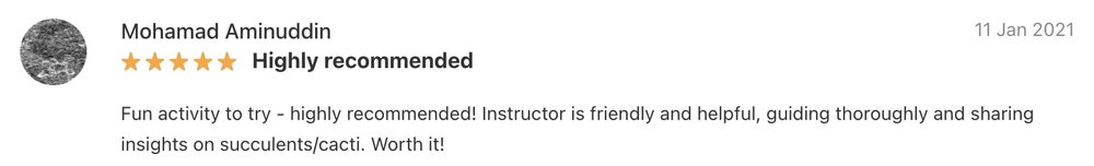 terrarium workshop crafts for green review