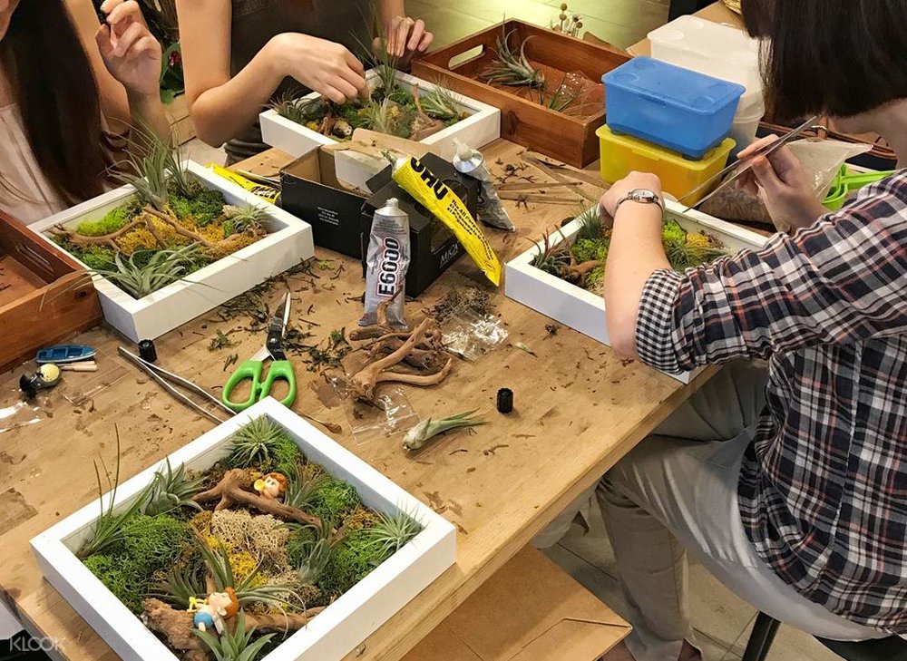 terrarium workshop the green capsule