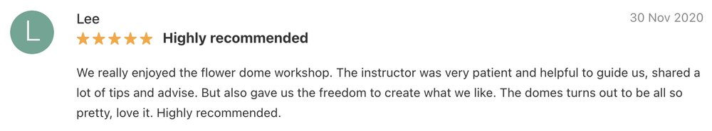 terrarium workshop crafts for green review