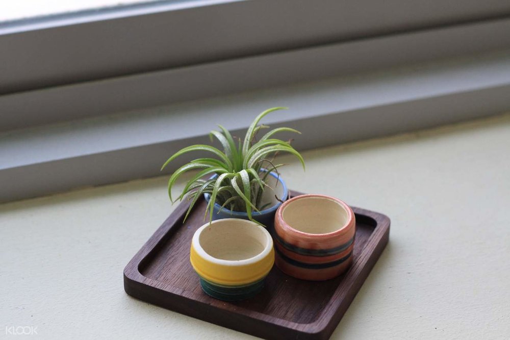 terrarium workshop terra and ember