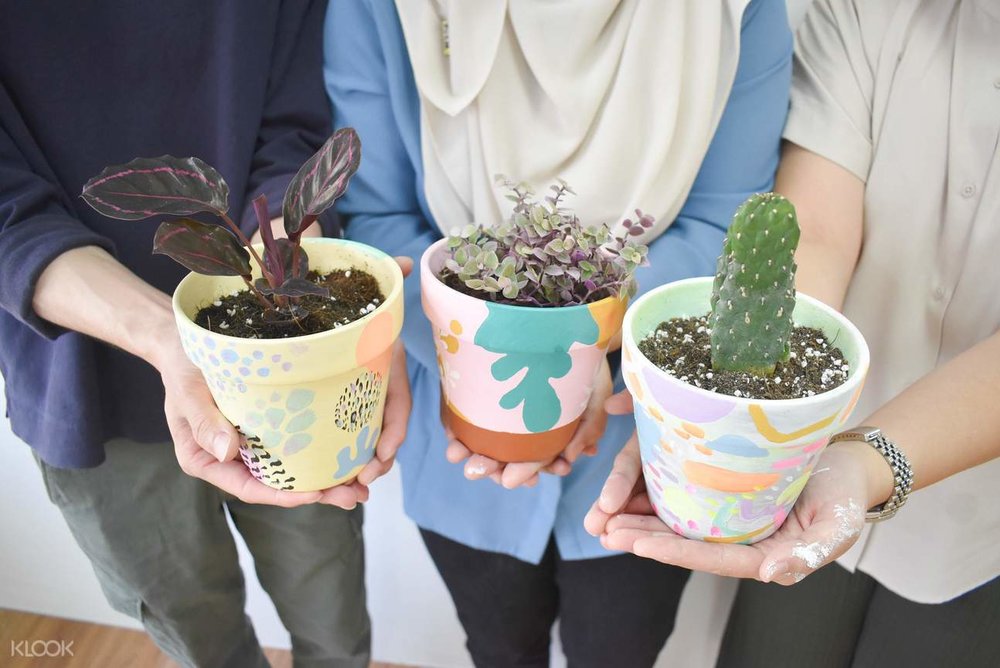 terrarium workshop craftsofgreen