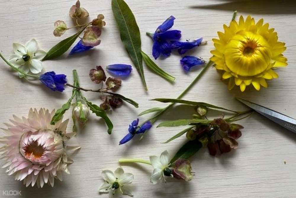 terrarium workshop poppy flora flower pressing