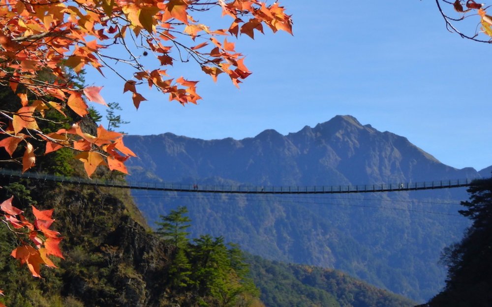 奧萬大吊橋：奧萬大景點