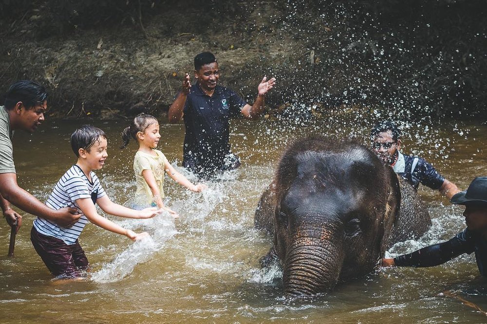 kuala gandah elephant sanctuary pahang malaysia