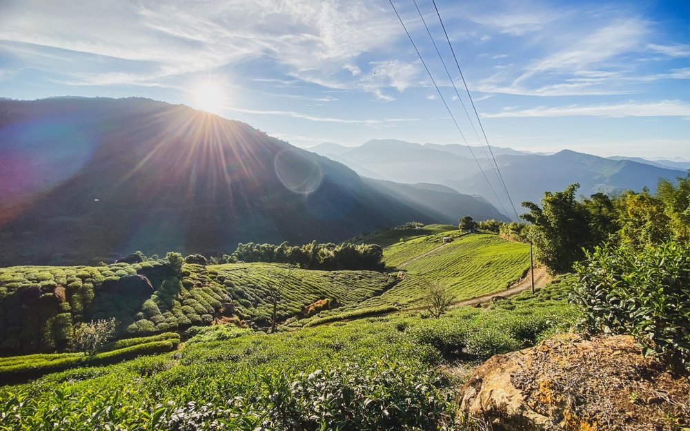 阿里山景點:山巒美景