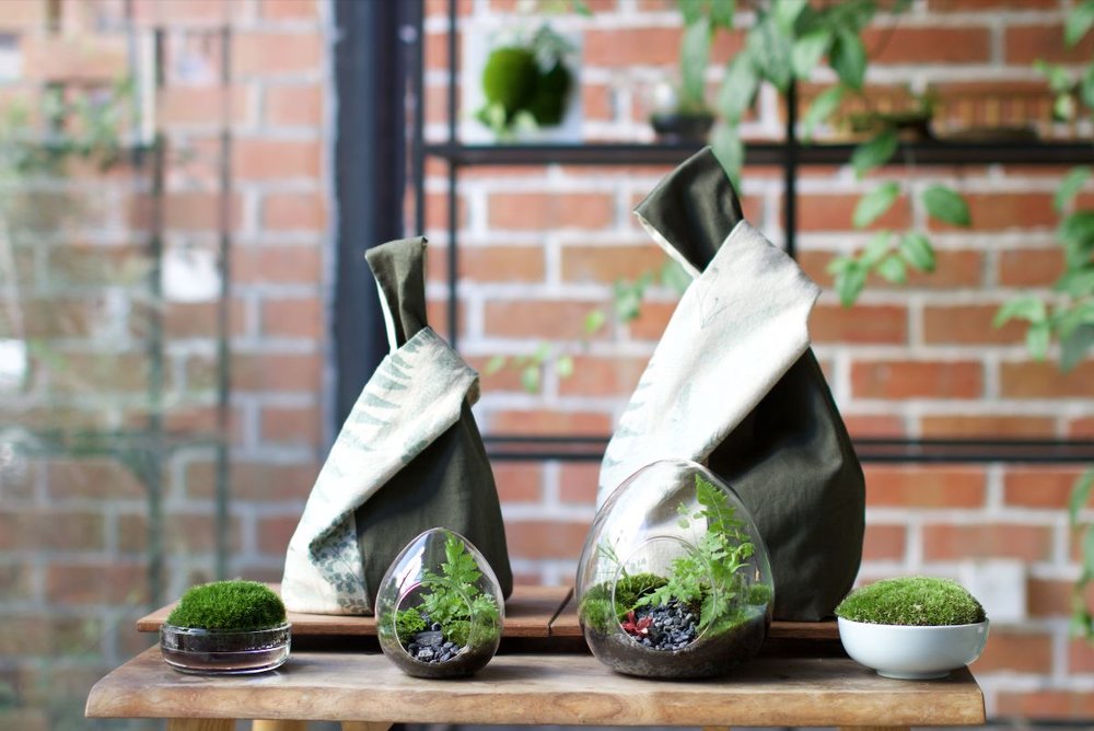 DIY Terrarium Kit from Moonshop Gallery gift idea for men Malaysia