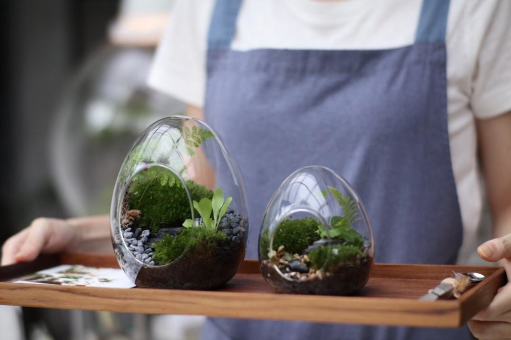 DIY Terrarium Kit from Moonshop Gallery gift idea for her Malaysia