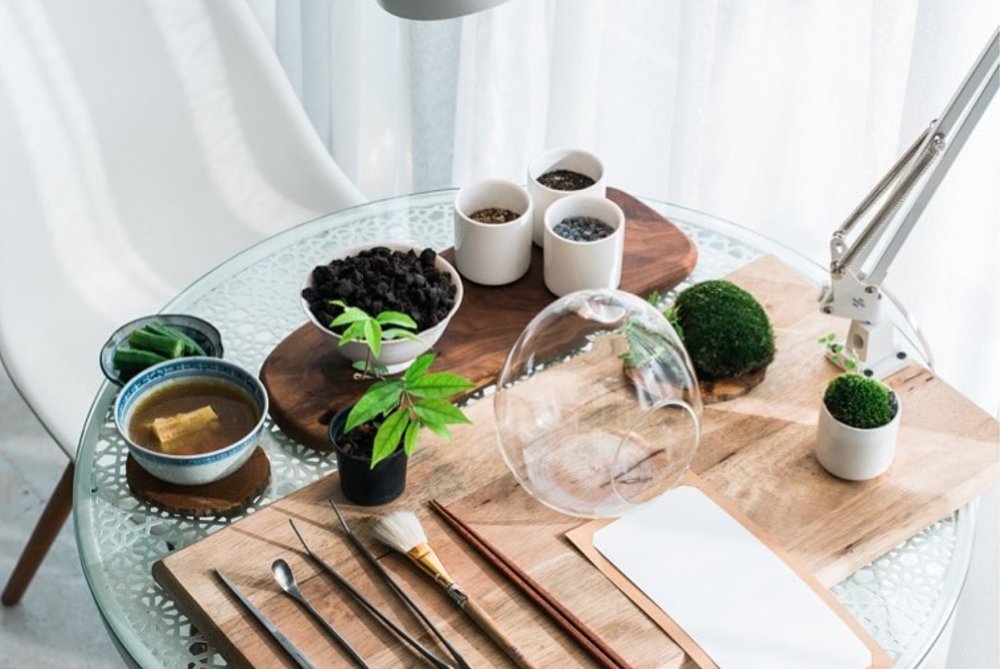 DIY Terrarium Kit from Moonshop Gallery gift set idea in Malaysia