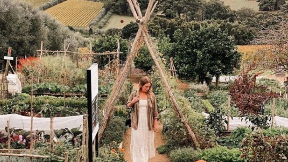 There’s a lot of sights and stops for the whole family over at Mornington Peninsula. Image credits: @hattybell  on Instagram