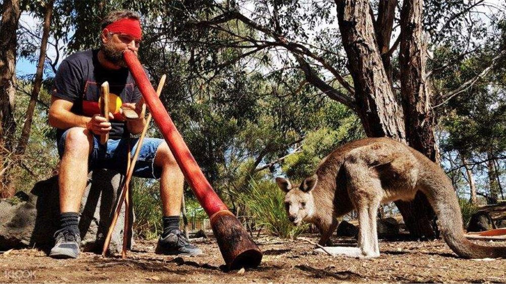 There are lots to see and do around the bay of Mornington and Bellarine!