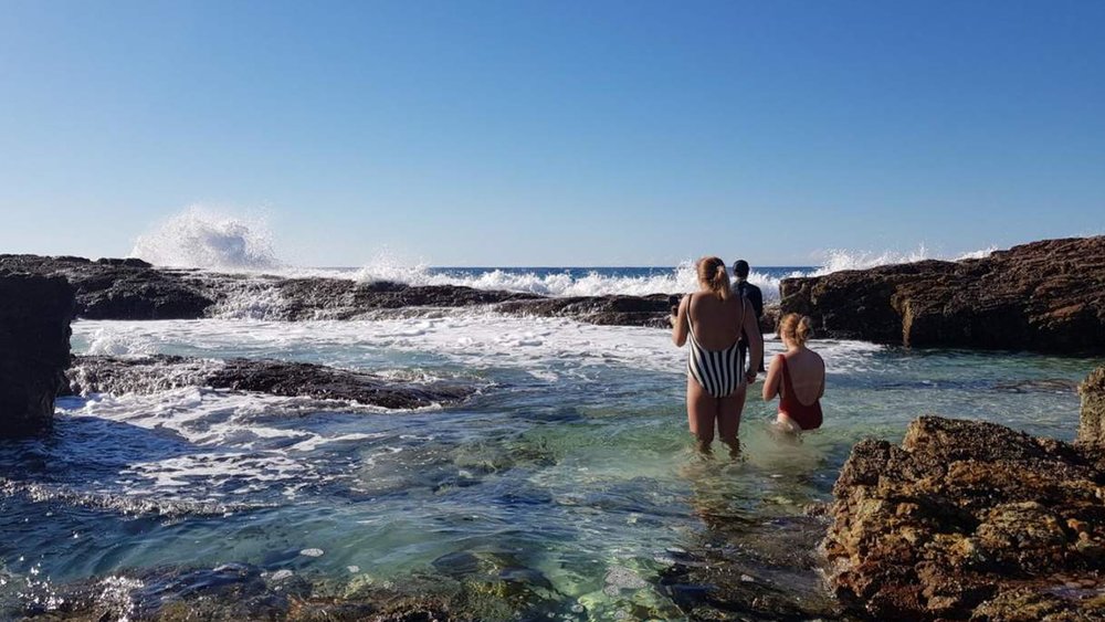 Discover the wonders of Moreton Island with this day tour!