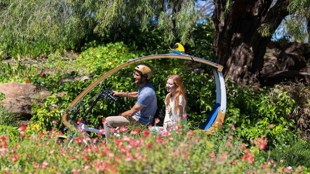 Breathe in the fresh Adelaide air when you tour around the city gardens.