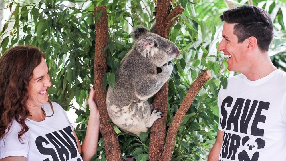Meet adorable koalas and other Aussie wildlife over at Lone Pine. Image credits: @lonepinekoala on Instagram