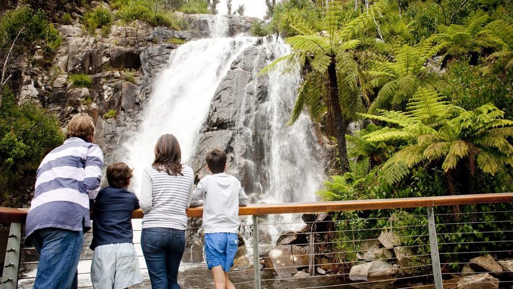 Admire Steavenson Falls, the tallest waterfall in Vic!