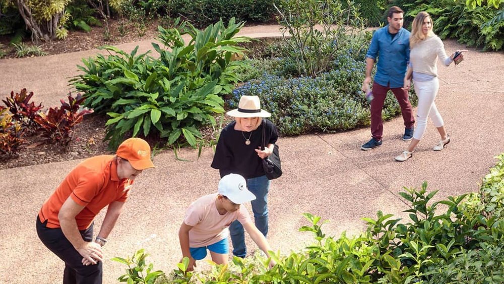 Let loose and breathe in the fresh air at Roma Street Parkland. Image credits: @romastreetparkland on Instagram